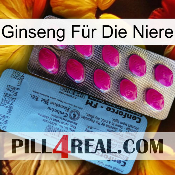 Ginseng Für Die Niere 35